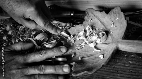 Foto artista del legno - b/w