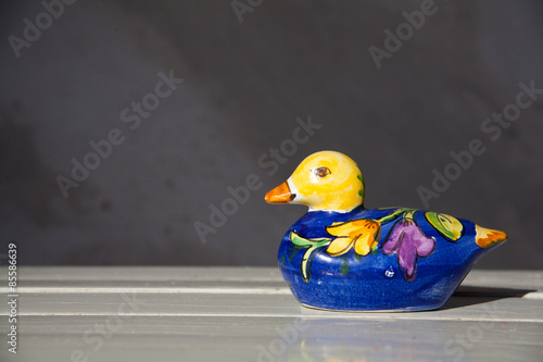 A coloured duck