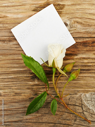 White roses and empty paper