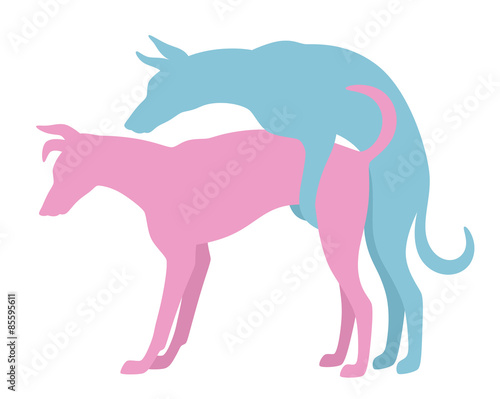 Doggy love