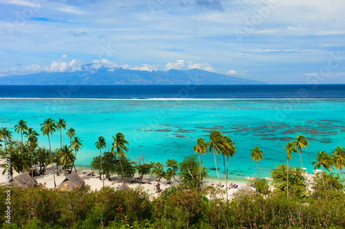 Moorea island landscape