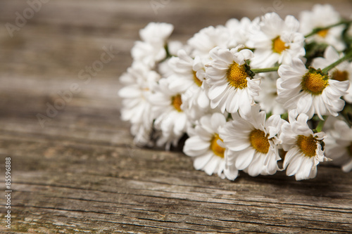 Close up of daisies on wooden background