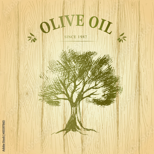 Olive tree on wood paper. Olives oil. Vector 