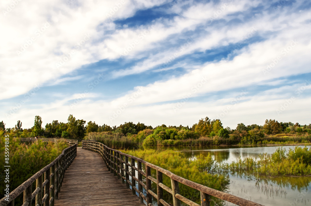 Obraz premium bridge