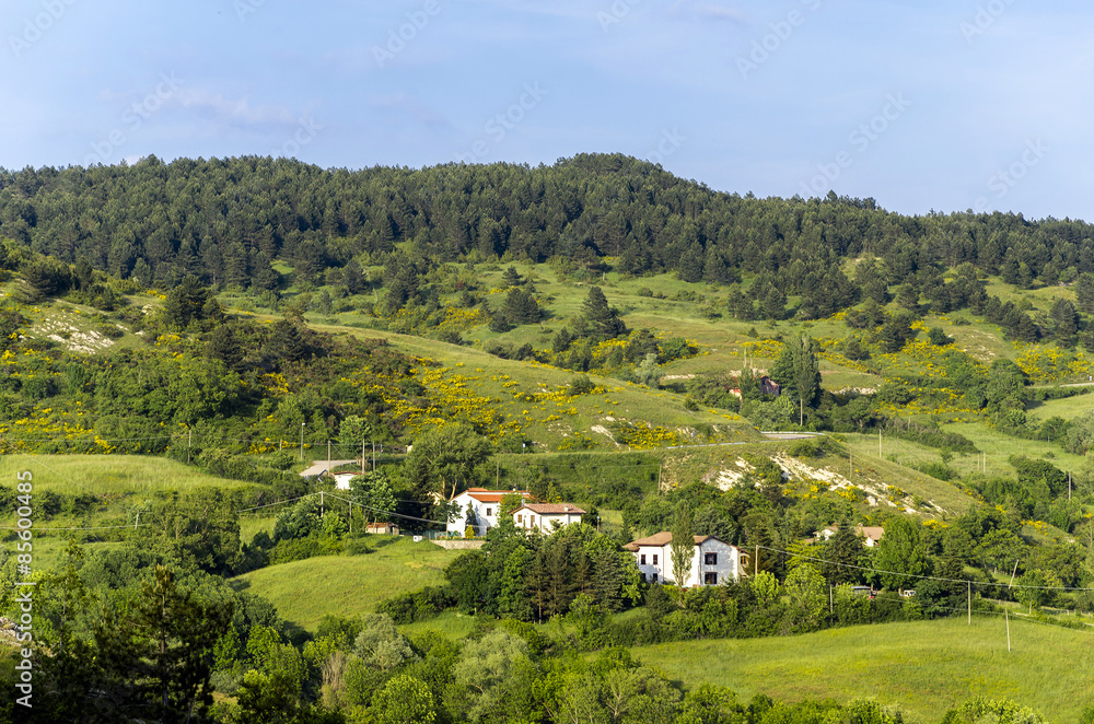 Naklejka premium Panorama di montagna