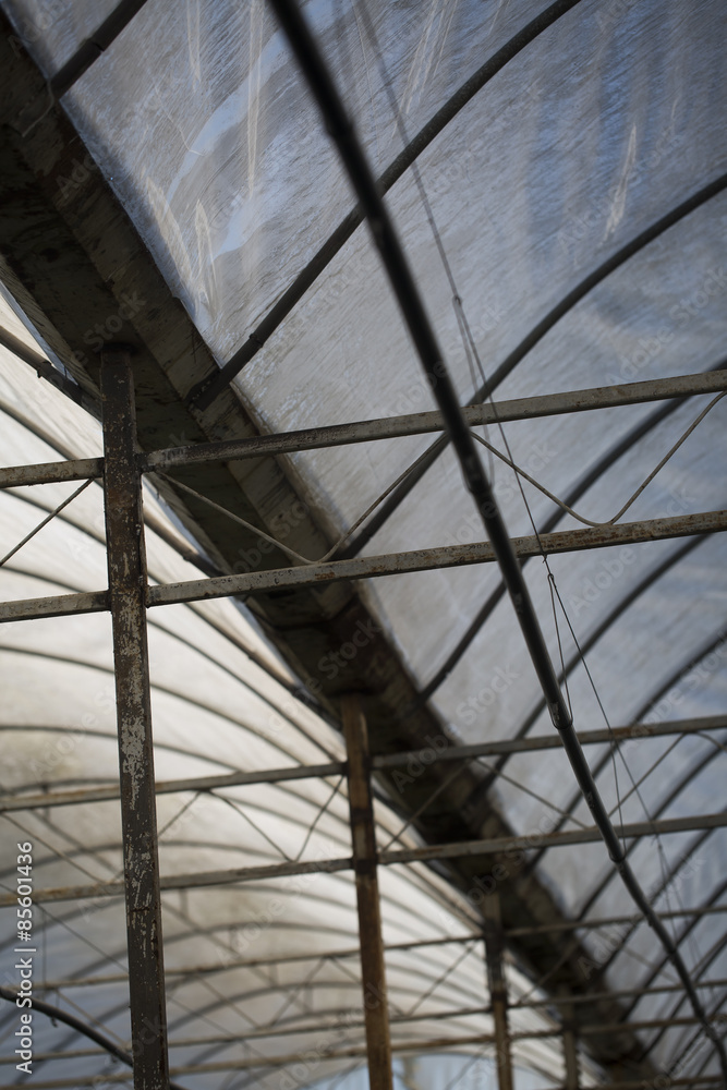 Fototapeta premium szklarnia