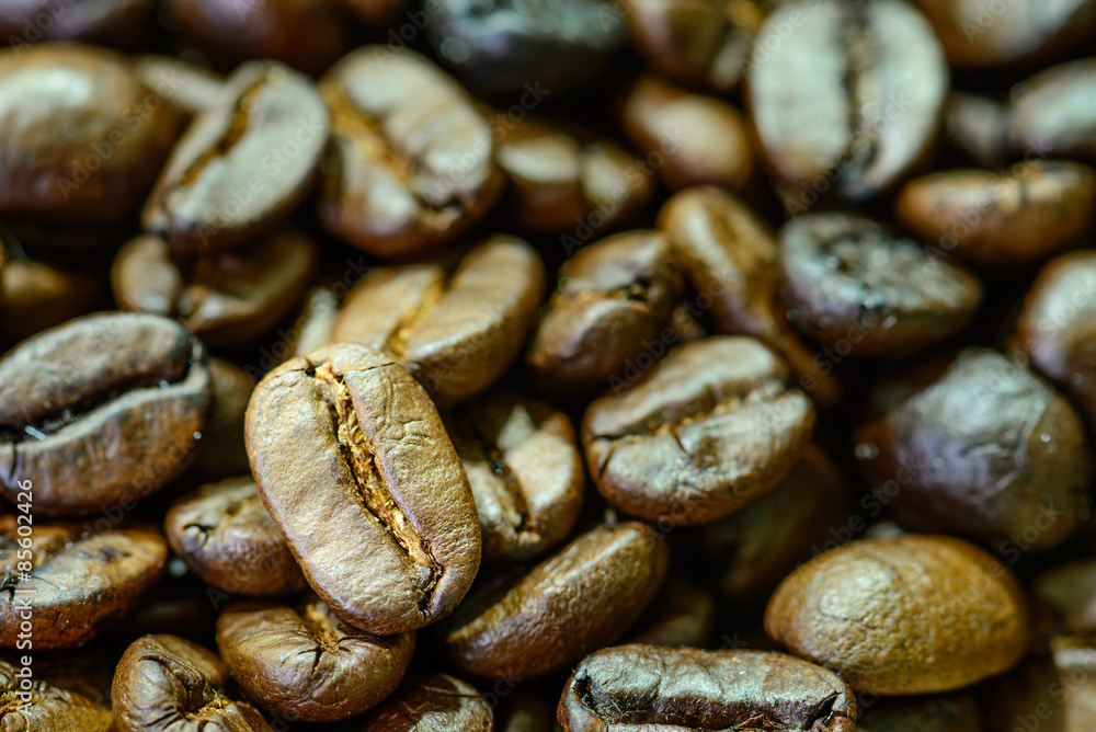 Close up of roasted coffee bean. Close up of roasted coffee bean.