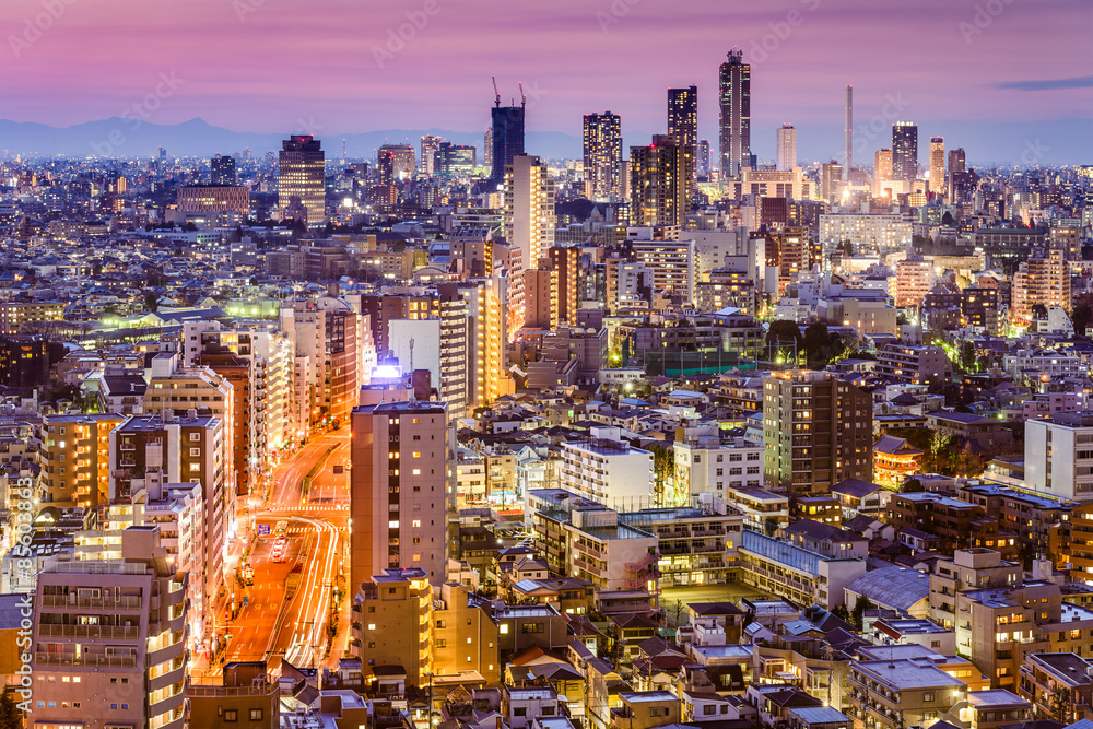 Tokyo, Japan Cityscape towards Shinjuku Ward