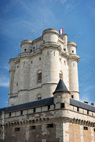 Keep of Vincennes Castle