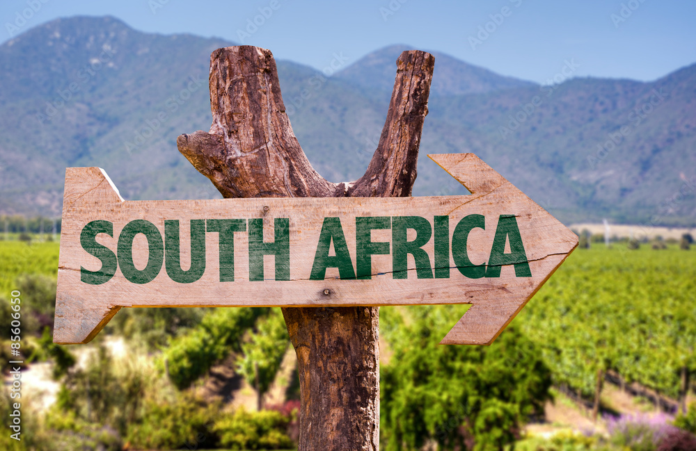 Obraz premium Republika Południowej Afryki drewniany znak z tłem winnicy