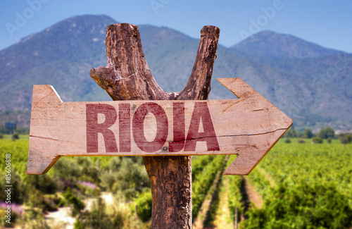 Rioja wooden sign with vineyard background
