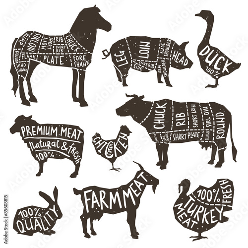 Farm Animals Silhouette Typographics
