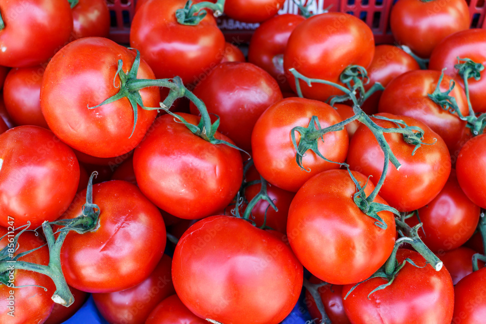 raw tomatoes group from marketplace raw tomatoes group from marketplace