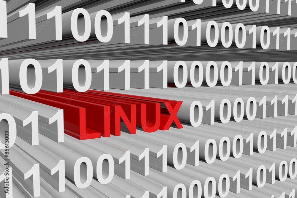 binary code of the linux operating system