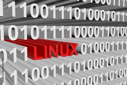 Photography binary code of the linux operating system