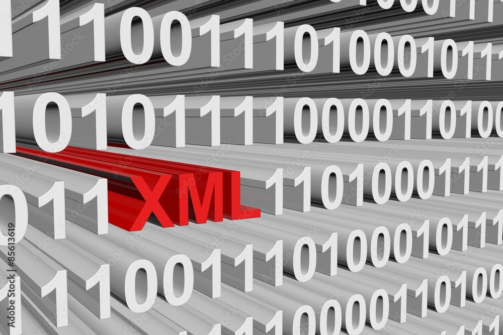 binary XML