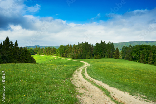 Fototapeta Naklejka Na Ścianę i Meble -  Rural road and green field in Beskidy Mountains in summer, Polan