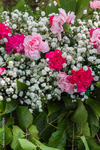 Spring flowers and carnations