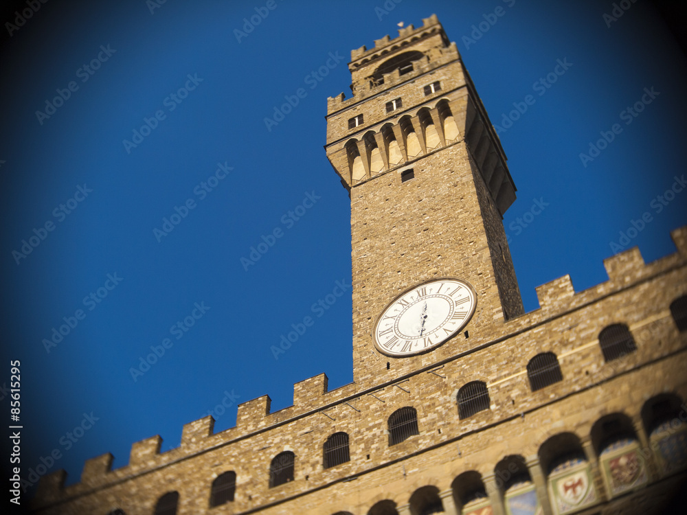 Toscana,Firenze,Palazzo Vecchio e torre di Arnolfo.