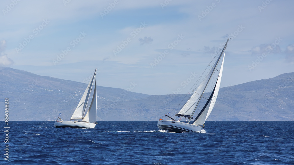 Boats in sailing regatta. Yacht sails with cloudless sky. Luxury yachts.