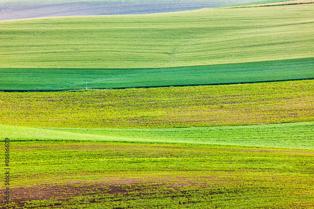Obraz premium Abstract pattern of rolling fields