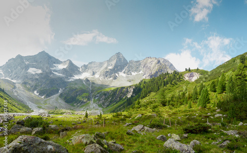 Panorama einer Almlandschaft in Tirol
