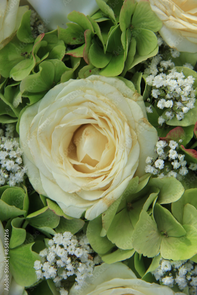 Fototapeta premium Hydrangea and roses bridal bouquet