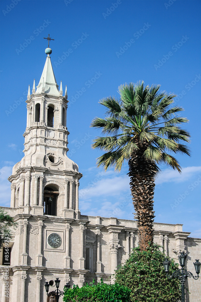 Church and a palm tree