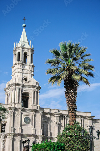 Church and a palm tree