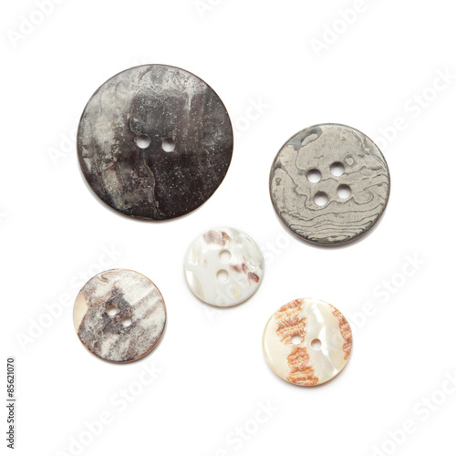 Shell Buttons isolate on white background.