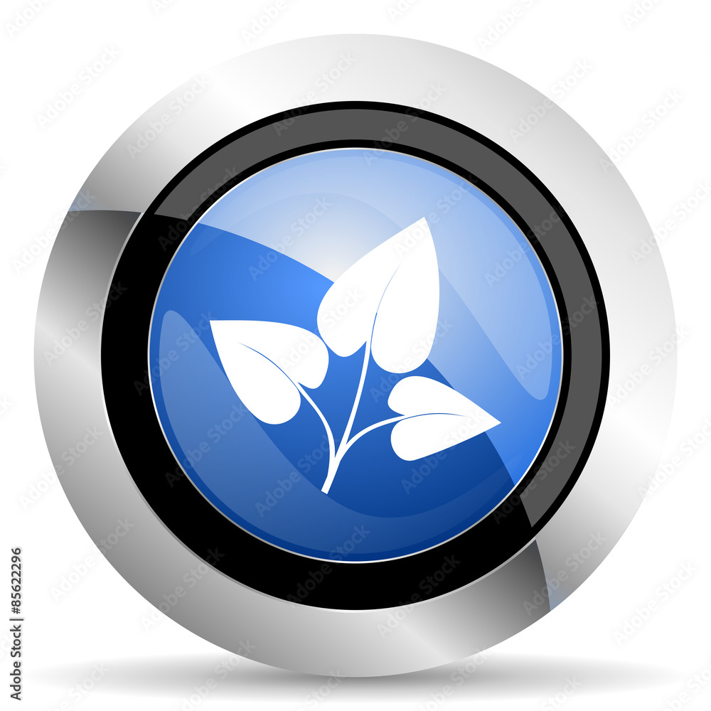 leaf icon nature sign leaf icon nature sign