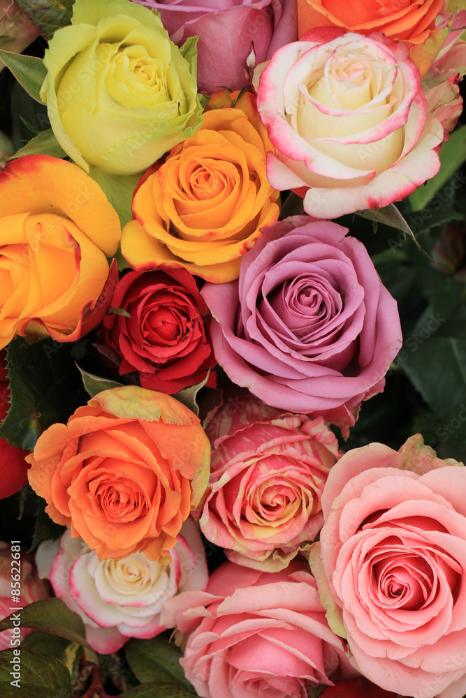 Multicolored wedding roses Multicolored wedding roses