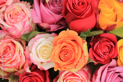 Multicolored wedding roses