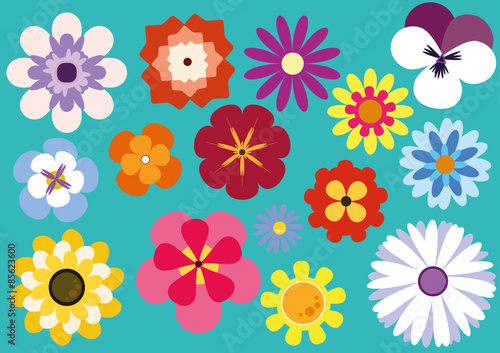 Flores Pacote Vetores