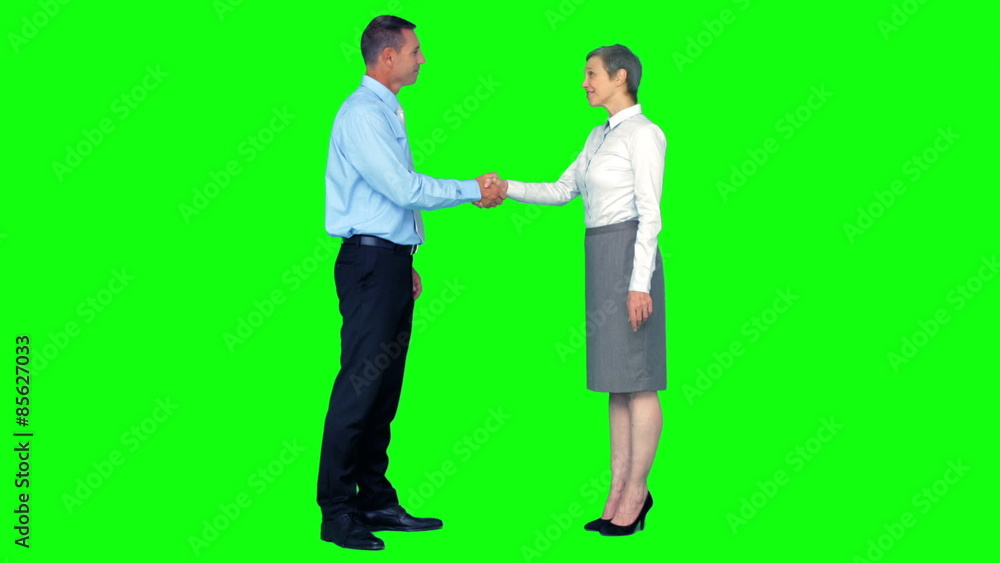 Business people shaking hands