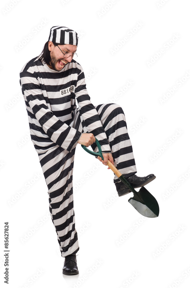 Prison inmate with spade isolated on white Prison inmate with spade isolated on white