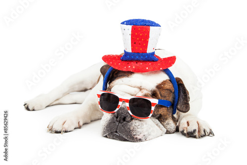 Fototapeta Naklejka Na Ścianę i Meble -  Funny American Holiday Bulldog