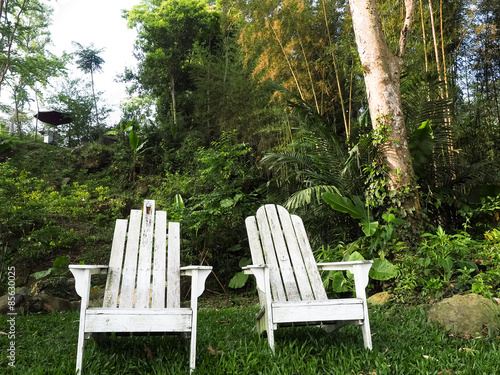 wooden chair in forest