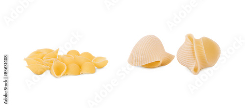 Close up of Italian pasta shells.