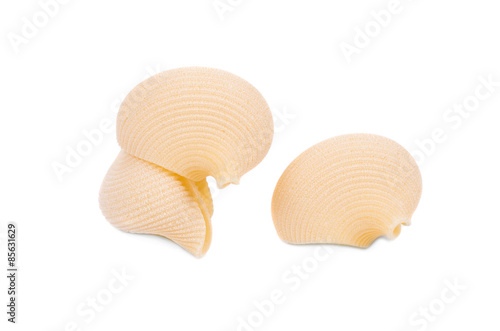 Close up of Italian pasta shells. 