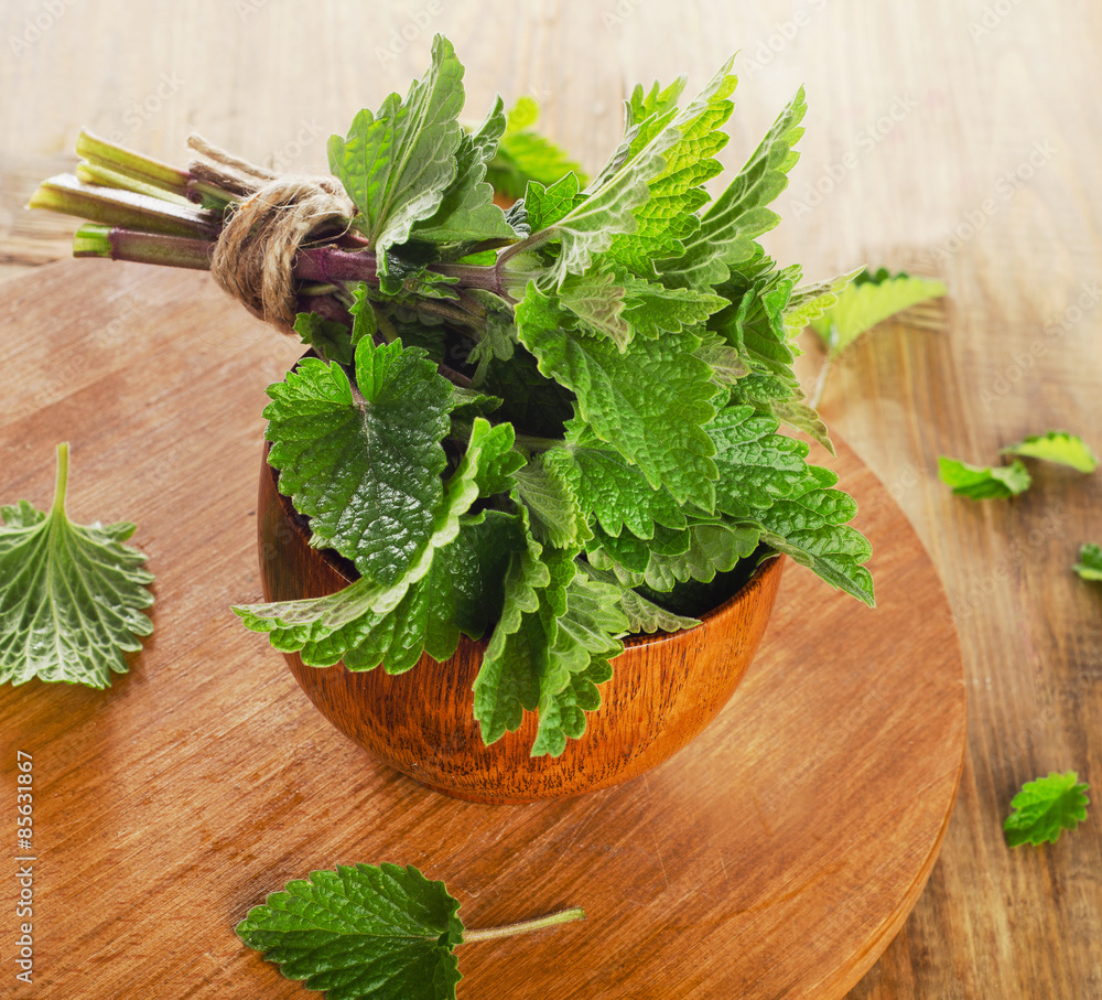Bunch of Fresh mint leaves on a wooden board. Bunch of Fresh mint leaves on a wooden board.