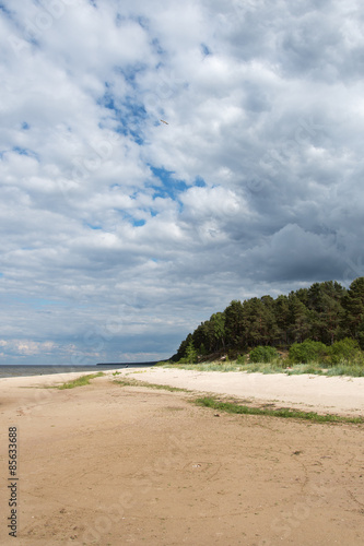Fototapeta Naklejka Na Ścianę i Meble -  Baltic sea coast in Latvia.