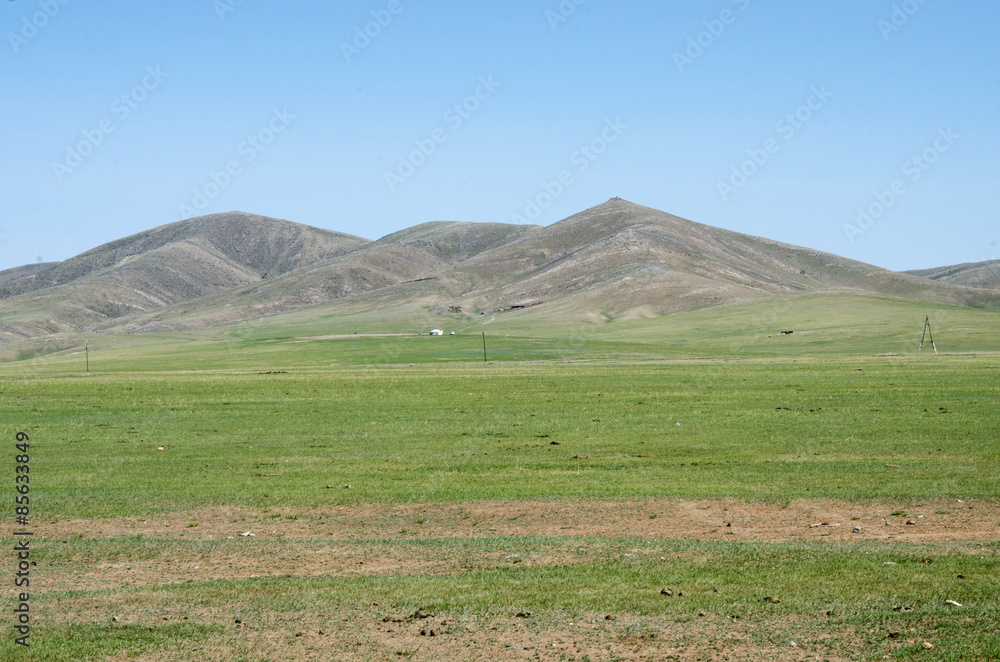 モンゴルの草原
