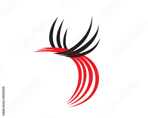 Free Download Bird of Paradise - GFXLoad