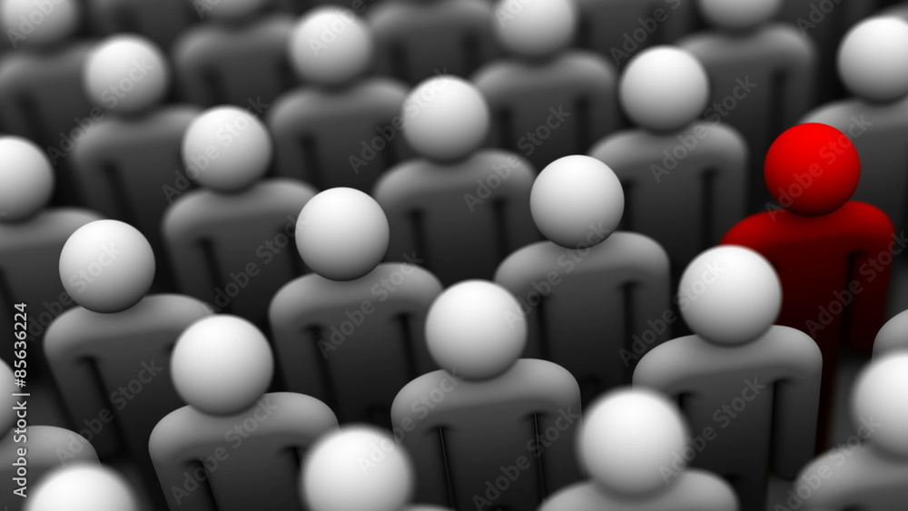 Search Leader Animation Search Leader Animation