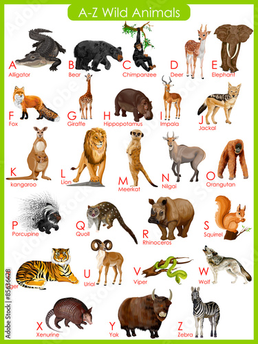 Chart of A to Z wild animals