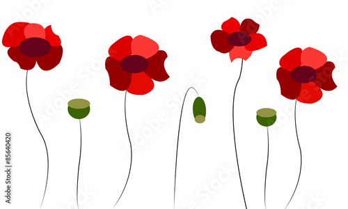 Fototapeta Naklejka Na Ścianę i Meble -  background with red poppies