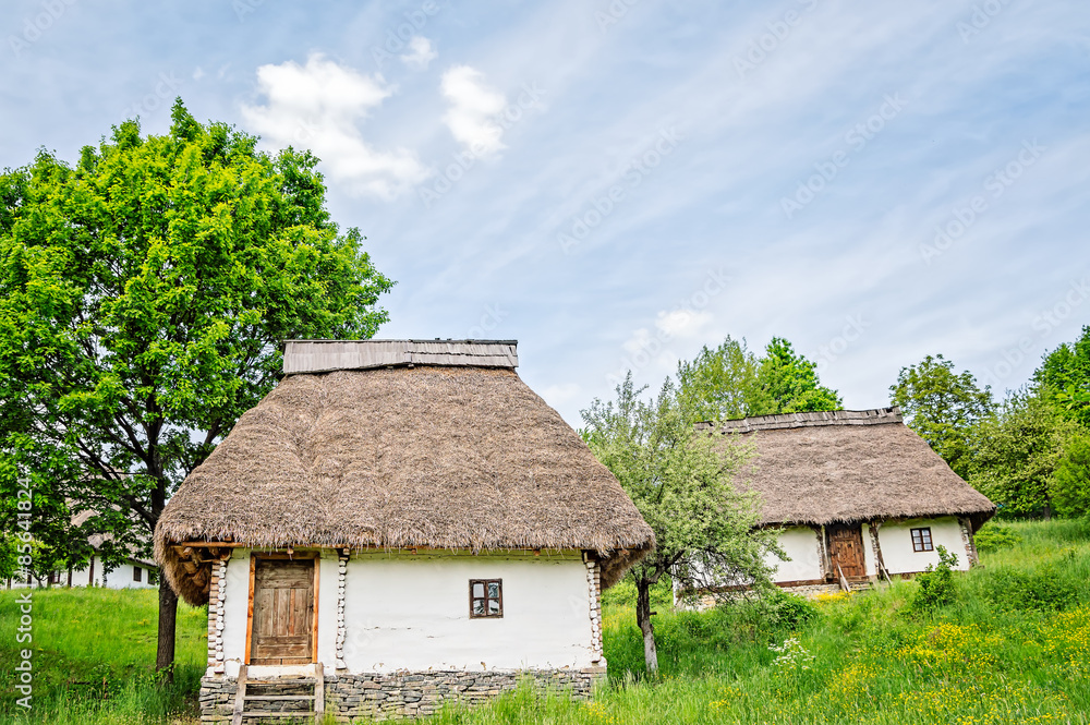 Old white clay houses with thatched roofs and wooden doors on a hill in a field of yellow flowers surrounded by trees.