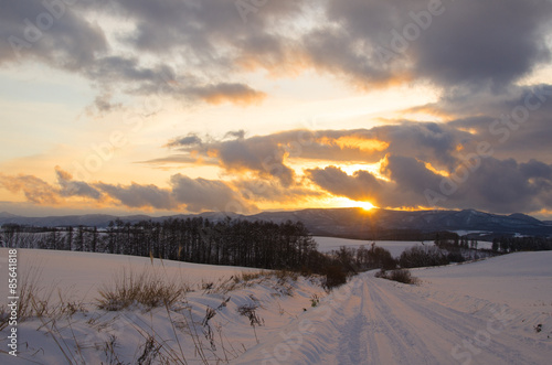雪原の夕日