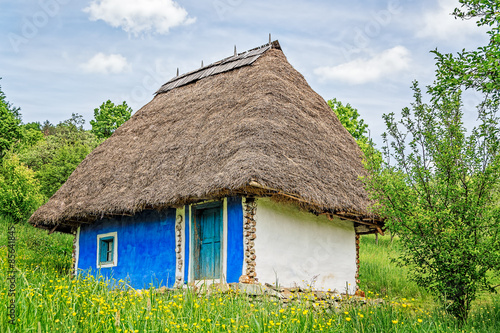 White and blue old clay house with a thatched roof and exposed wooden beams in a field of yellow flowers.
